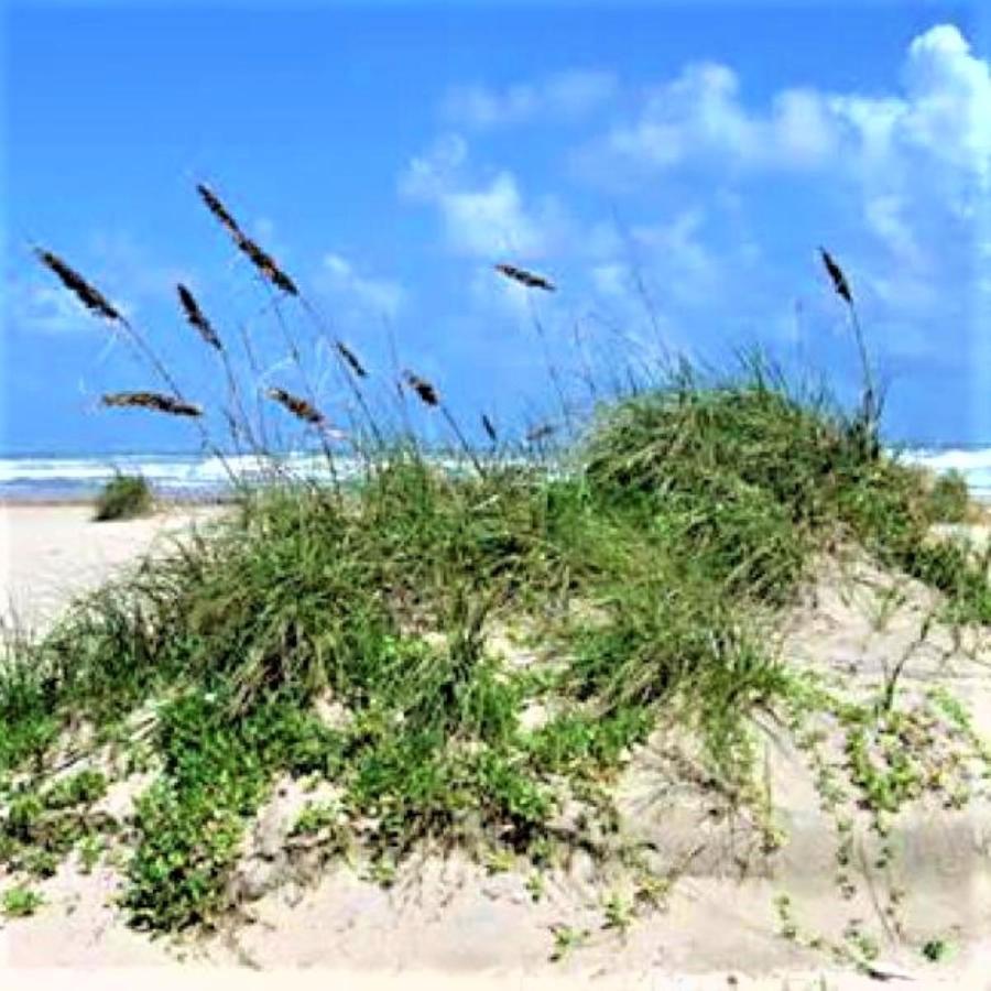Village By The Gulf Gulf Shores Exterior photo